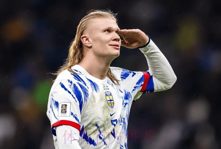 最新世界杯法国哈兰德赛事预测权威解读 最新世界杯法国哈兰德赛事预测权威解读